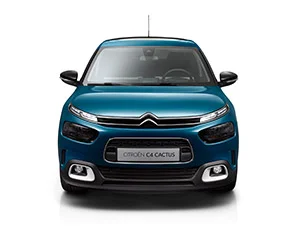 C4 Cactus intr