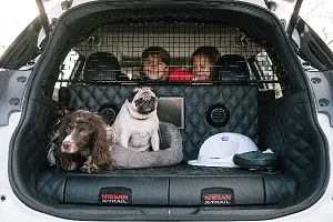 X trail 4 dog pres