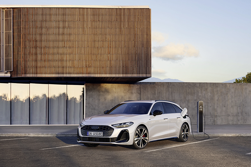 A250319 medium copie