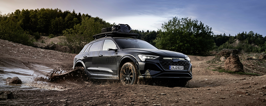 Audi Q8 edtion Dakar intr