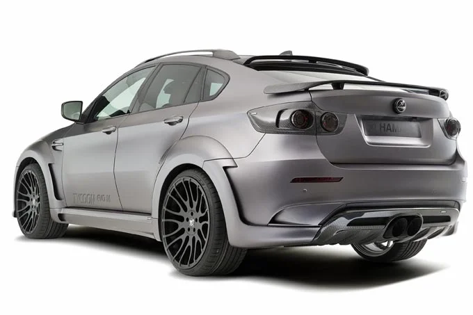 Hamann tycoon